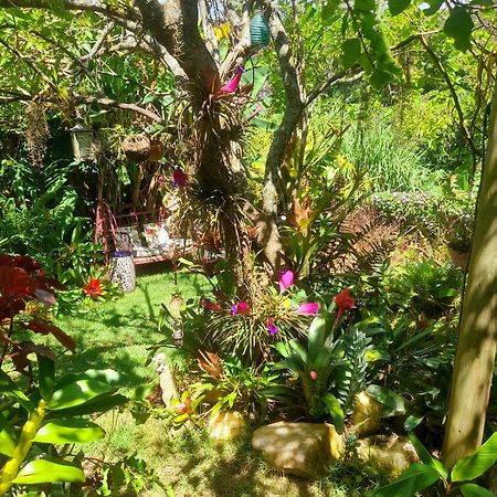 Apartament Casa De Vidro Petrópolis Zewnętrze zdjęcie