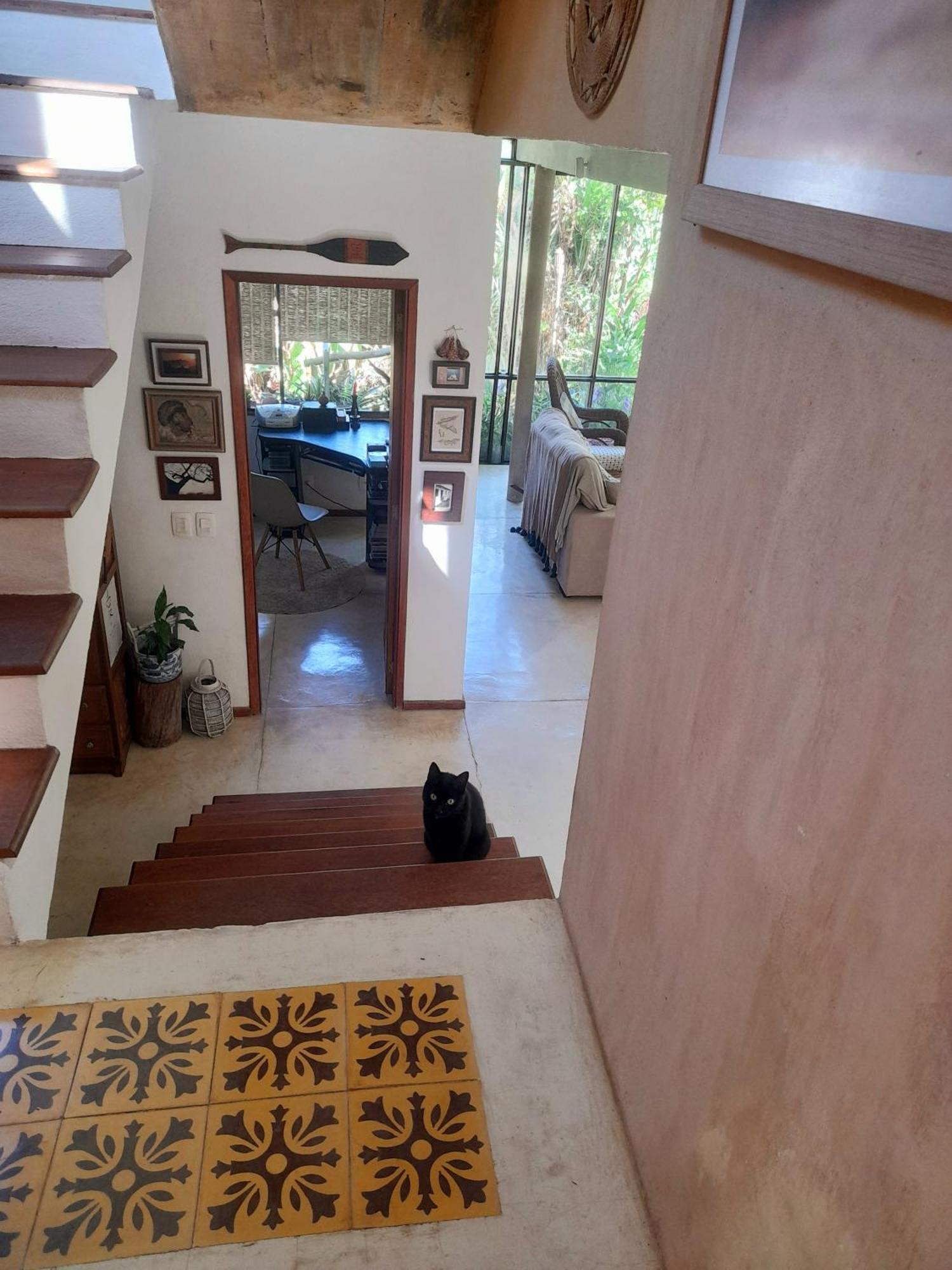 Apartament Casa De Vidro Petrópolis Zewnętrze zdjęcie