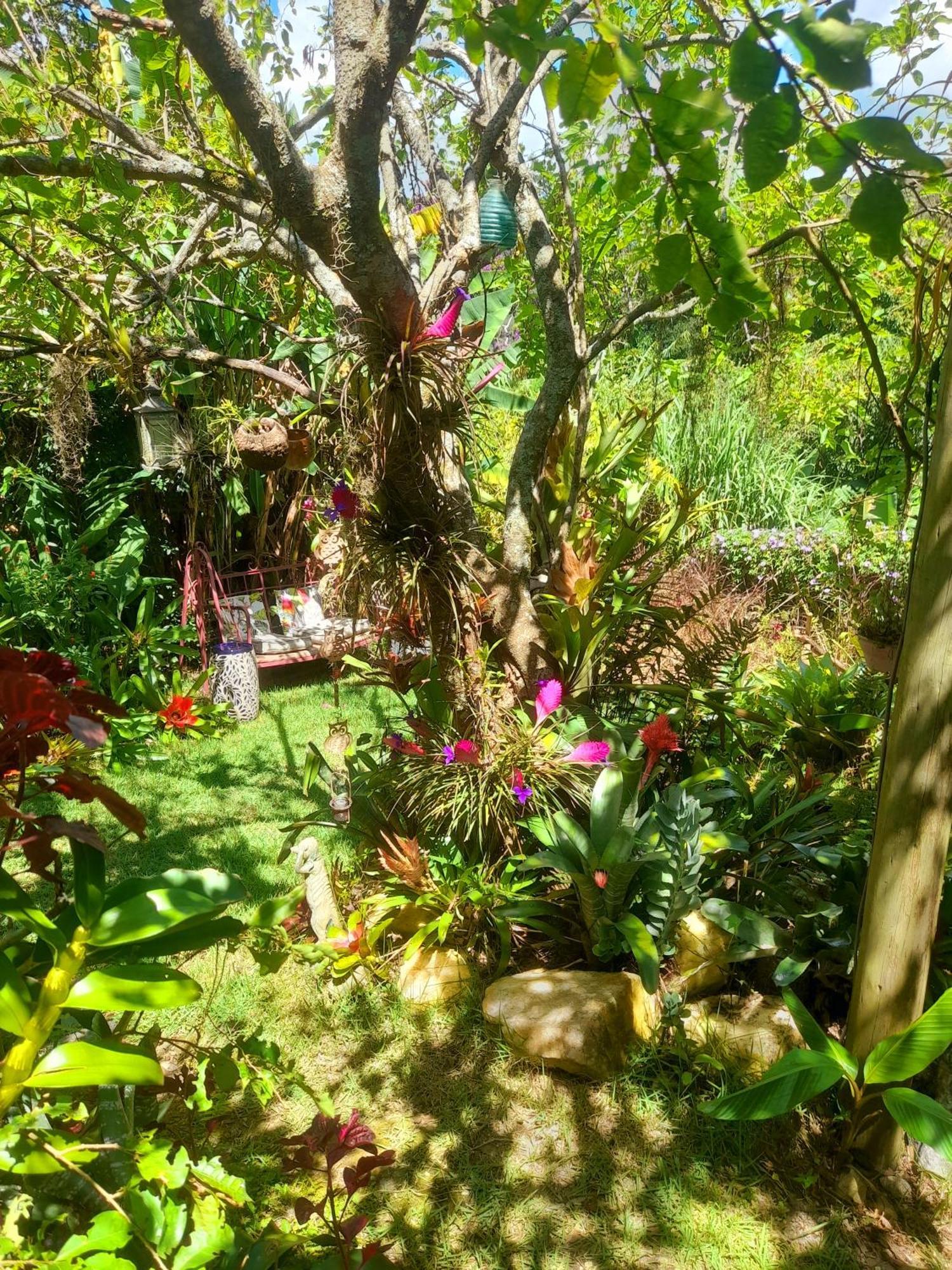 Apartament Casa De Vidro Petrópolis Zewnętrze zdjęcie