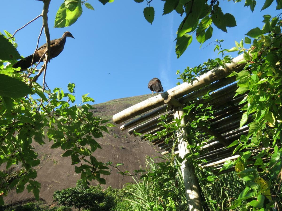 Apartament Casa De Vidro Petrópolis Zewnętrze zdjęcie